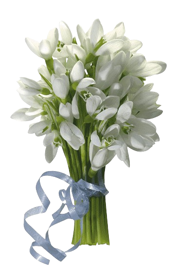 A bouqet of flowers for you <3